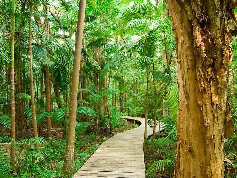 Byron Bay Rainforest Resort 3*, Byron Bay Australien