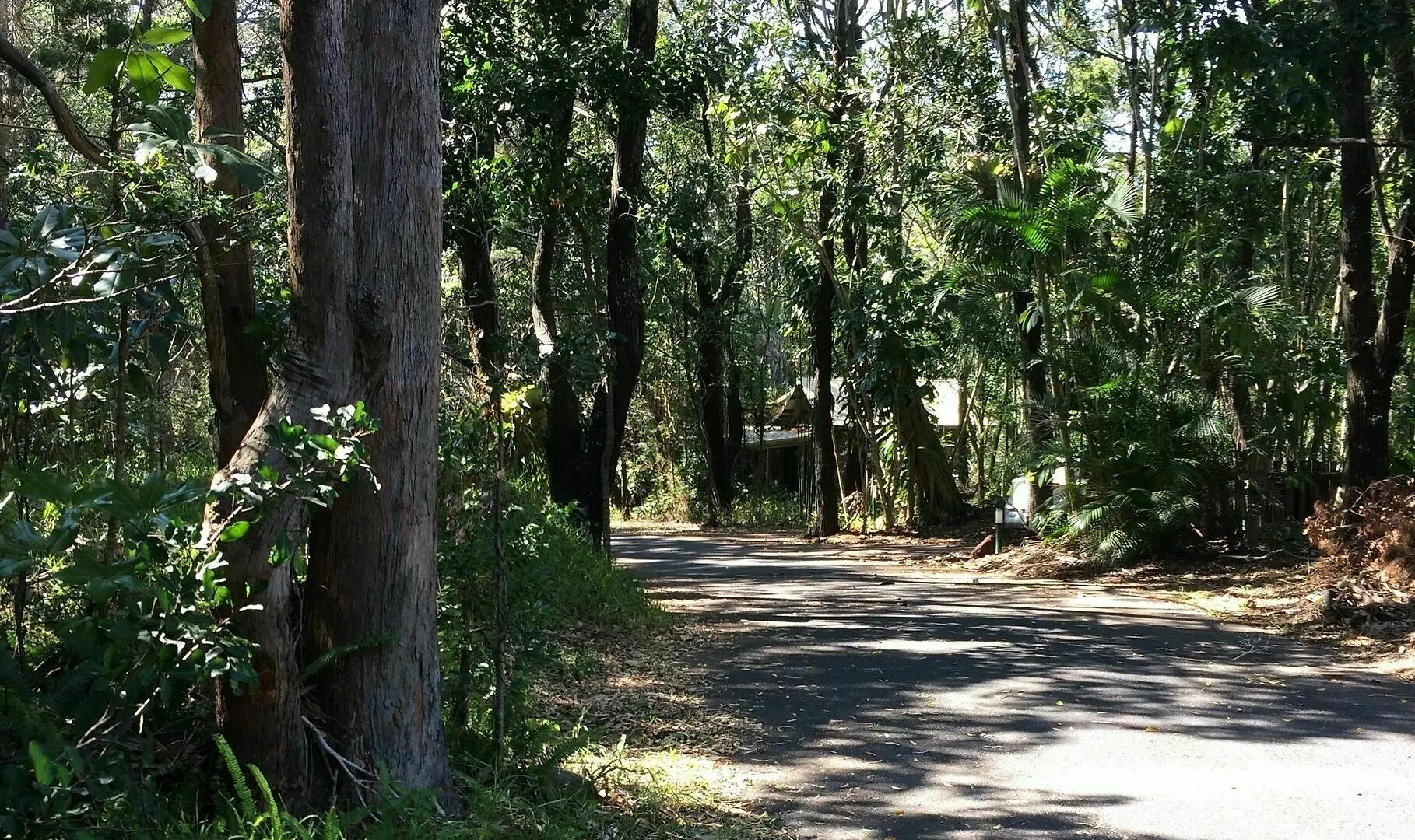 ***  Byron Bay Rainforest Resort Australien
