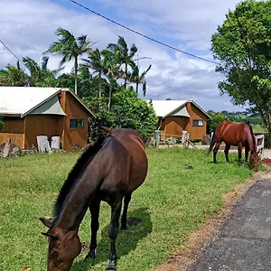 Farm stay Farm, Byron Bay