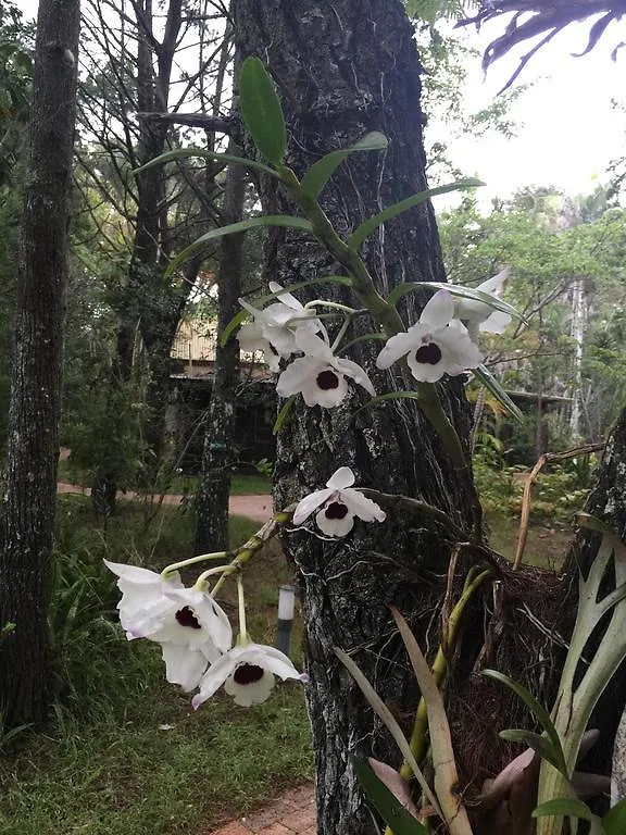 ***  Byron Bay Rainforest Resort Australia