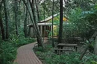 Byron Bay Rainforest Resort