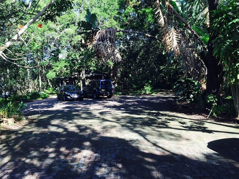 Byron Bay Rainforest Resort