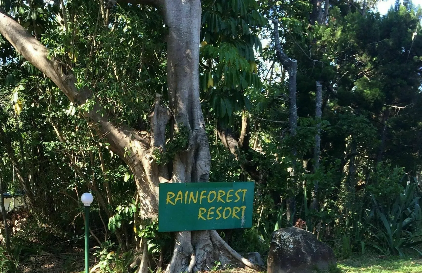 Byron Bay Rainforest Resort