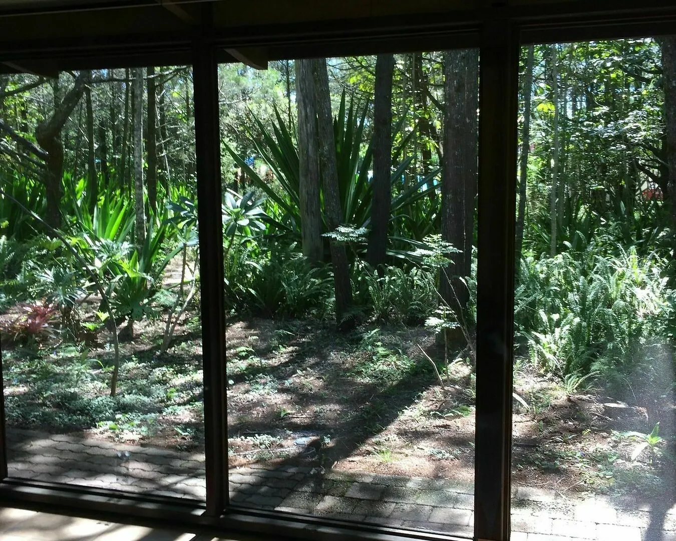 Byron Bay Rainforest Resort Australien
